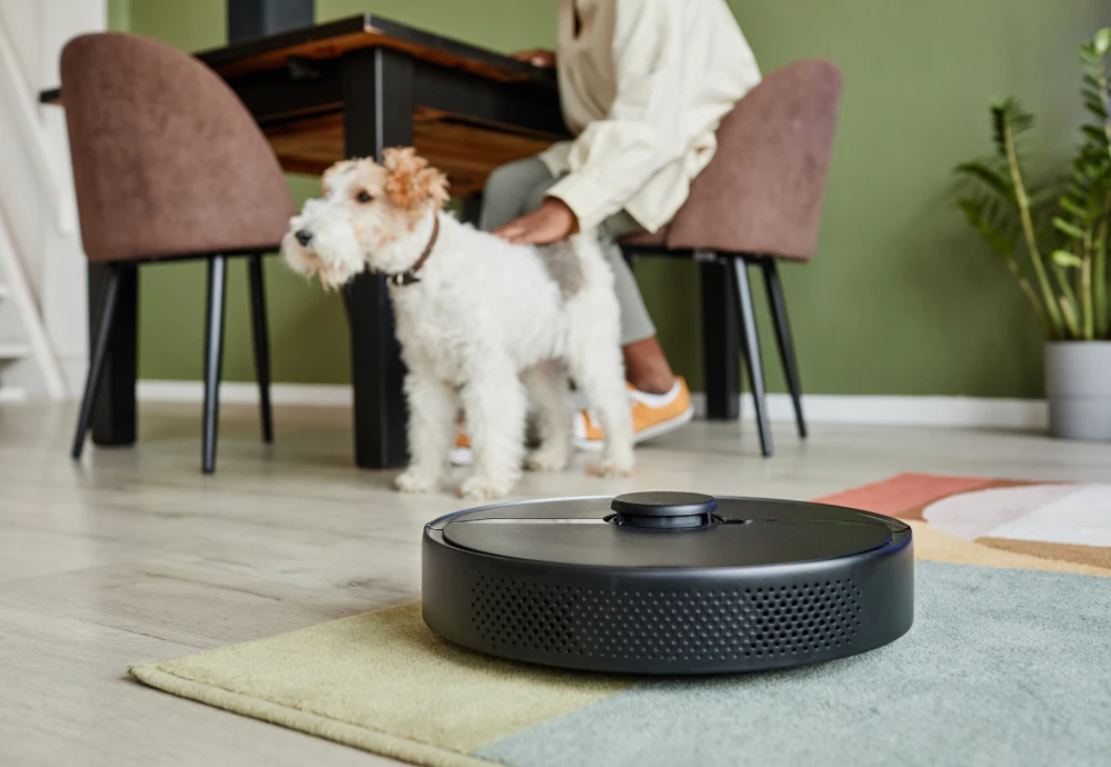 what is the best robotic vacuum cleaner to buy