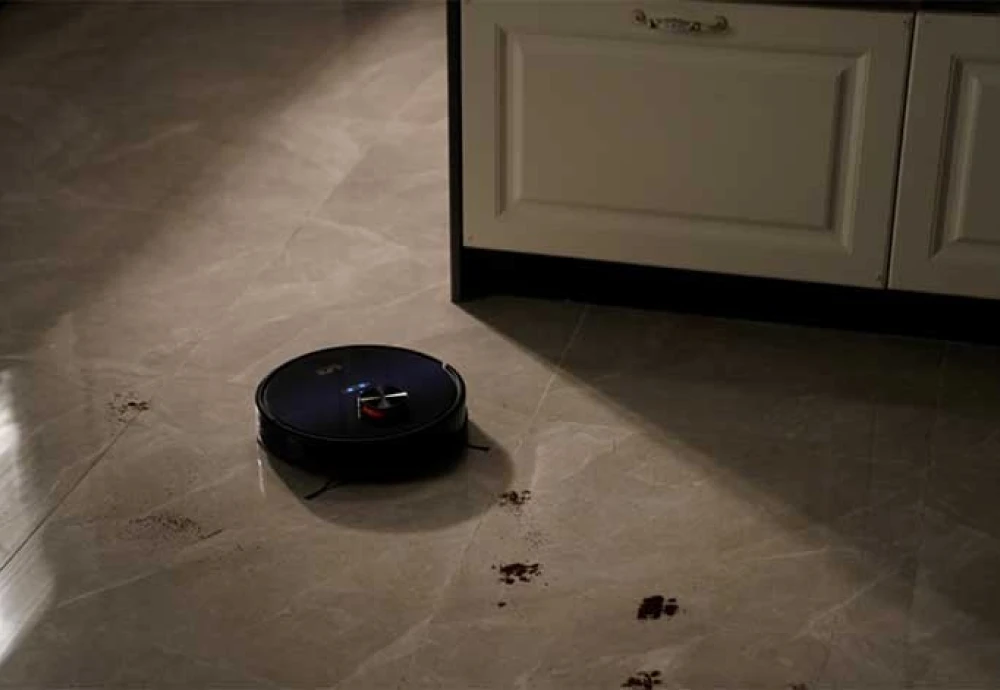 robot vacuum cleaner carpet