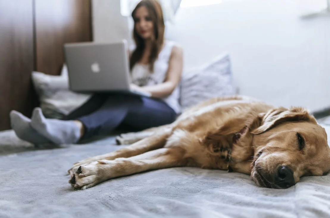 all in one smart bed